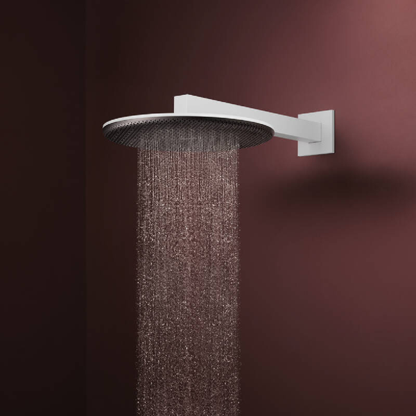 Лейка верхнего душа HANSGROHE RAINDANCE ALIVE 24520700, білий матовий 100406 фото