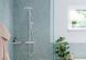 Полиця для ванної кімнати HANSGROHE ADDSTORIS 41741000 81457 фото 3