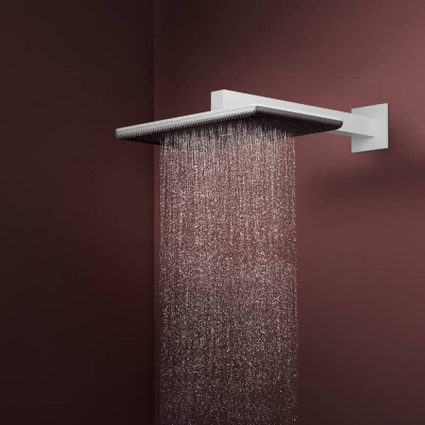 Лейка верхнего душа HANSGROHE RAINDANCE ALIVE 24530700, білий матовий 100476 фото
