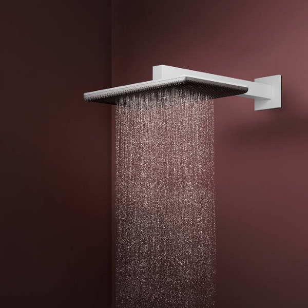 Лейка верхнего душа с кронштейном, 2 режима HANSGROHE RAINDANCE ALIVE 24550700, білий матовий 100487 фото
