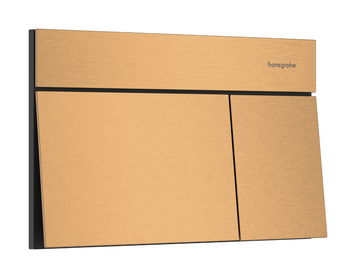 Кнопка смыва для инсталляции HANSGROHE iFRAME, бронза сатин 101372 фото