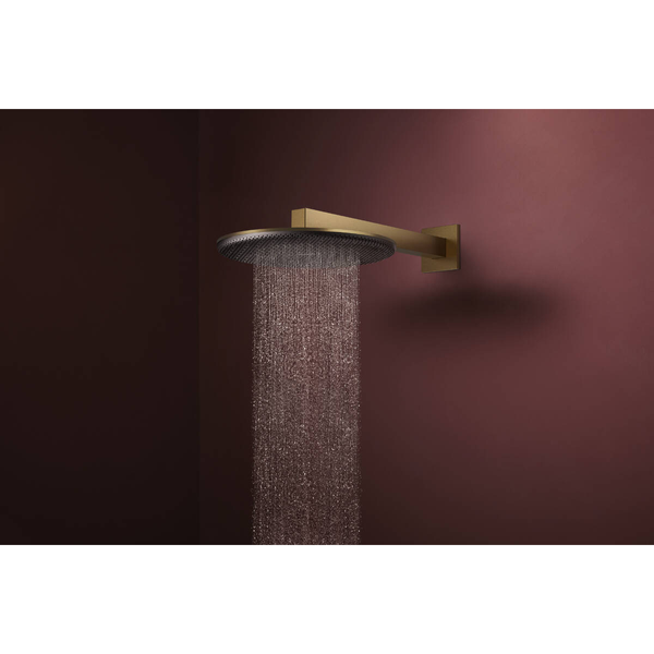Лейка верхнего душа HANSGROHE RAINDANCE ALIVE 24520140, бронза сатин 100397 фото