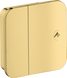 Запорный вентиль скрытого монтажа AXOR ONE 45771990, золото 800005521 фото 1
