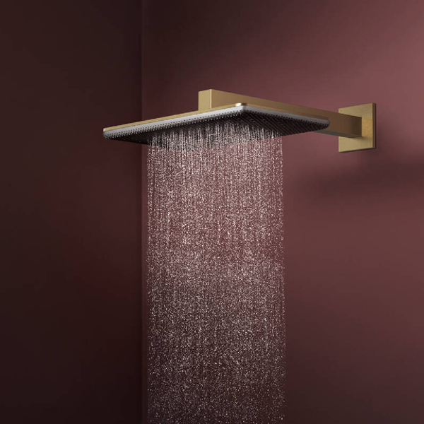 Лейка верхнего душа HANSGROHE RAINDANCE ALIVE 24530140, бронза сатин 100473 фото