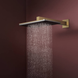 Лейка верхнего душа HANSGROHE RAINDANCE ALIVE 24530140, бронза сатин 100473 фото 3