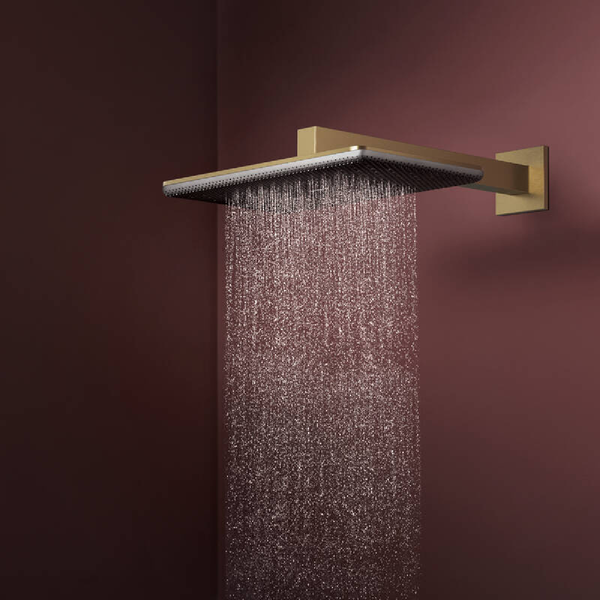 Лейка верхнего душа с кронштейном, 2 режима HANSGROHE RAINDANCE ALIVE 24550140, бронза сатин 100484 фото