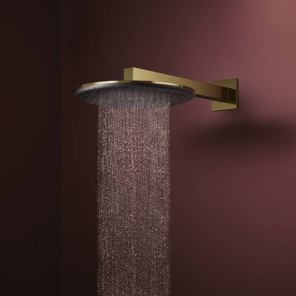 Лейка верхнего душа HANSGROHE RAINDANCE ALIVE 24520990, золото 100417 фото