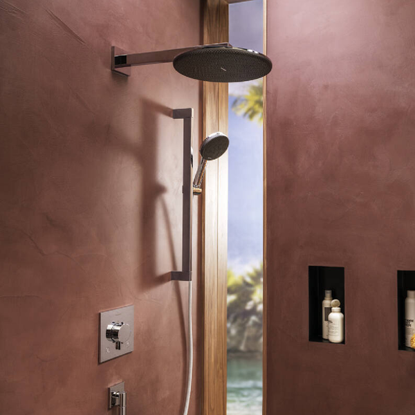 Лейка верхнего душа HANSGROHE RAINDANCE ALIVE 24520000 100396 фото