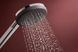 Ручний душ (3 типа струи RainAir PowderRain Massage) EcoSmart HANSGROHE RAINDANCE ALIVE 24511000, хром 101622 фото 3