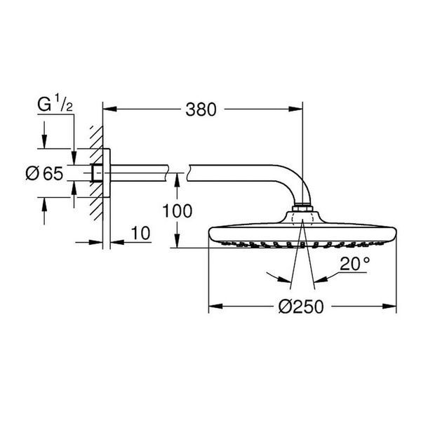 Лейка верхнего душа GROHE TEMPESTA 250 26668000 79476 фото