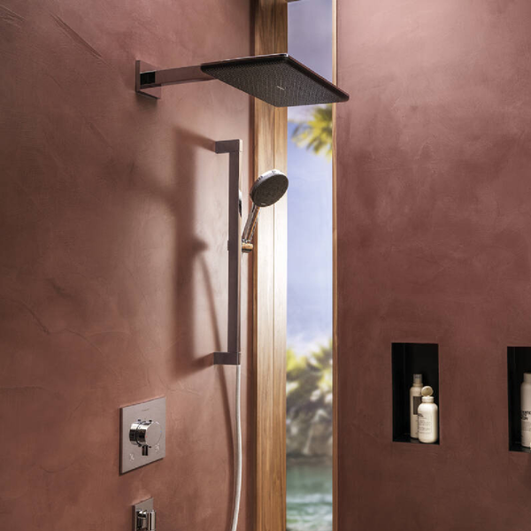 Лейка верхнего душа HANSGROHE RAINDANCE ALIVE 24530000 100421 фото