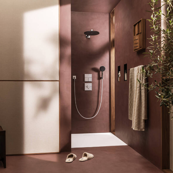 Лейка верхнего душа с кронштейном, 2 режима HANSGROHE RAINDANCE ALIVE 24540000 100478 фото