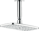Верхний душ HANSGROHE RAINDANCE 27380000 13725 фото 1