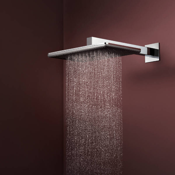 Лейка верхнього душу з кронштейном, 2 режими HANSGROHE RAINDANCE ALIVE 24550000 100483 фото
