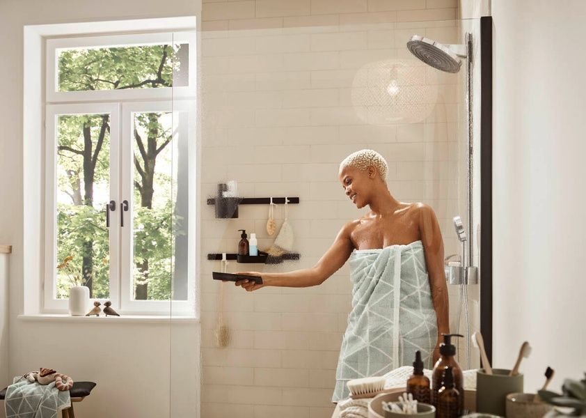 Скребок для очистки стекла HANSGROHE WALLSTORIS 27916670 81513 фото