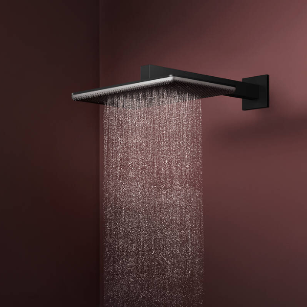 Лейка верхнього душу HANSGROHE RAINDANCE ALIVE 24530670, чорний матовий 100475 фото