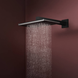 Лейка верхнього душу HANSGROHE RAINDANCE ALIVE 24530670, чорний матовий 100475 фото 3