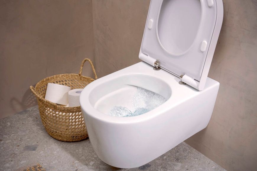 Унітаз підвісний HANSGROHE ELU PURE 60292450 100550 фото