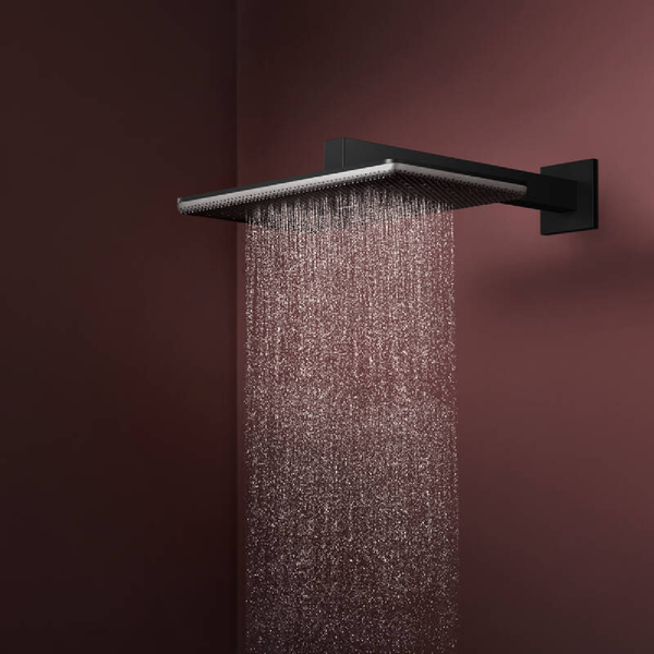Лейка верхнього душу з кронштейном, 2 режими HANSGROHE RAINDANCE ALIVE 24550670, чорний матовий 100486 фото