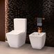 Унитаз-компакт VILLEROY & BOCH VENTICELLO 4612R001, Rimless, белый 68849 фото 3