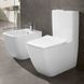 Унитаз-компакт VILLEROY & BOCH VENTICELLO 4612R001, Rimless, белый 68849 фото 2