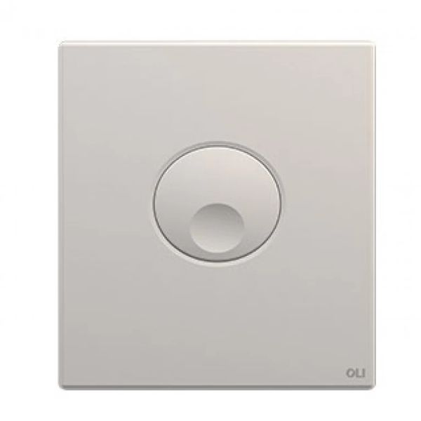 Кнопка змиву для інсталяції OLI Globe 878819, хром матовий 800001953 фото