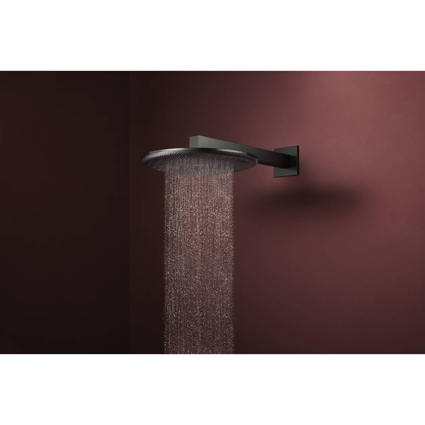 Лейка верхнього душу HANSGROHE RAINDANCE ALIVE 24520340, чорний матовий хром 100404 фото