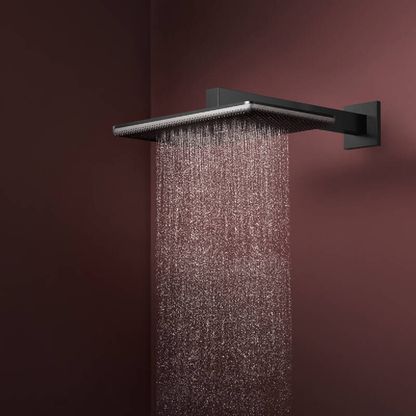Лейка верхнього душу з кронштейном, 2 режими HANSGROHE RAINDANCE ALIVE 24550340, чорний матовий хром 100485 фото