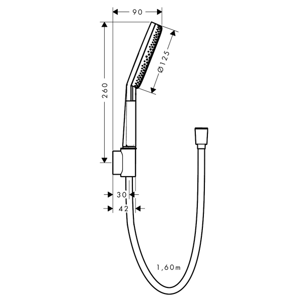 Душевой гарнитур HANSGROHE RAINDANCE ALIVE 24611000 100494 фото