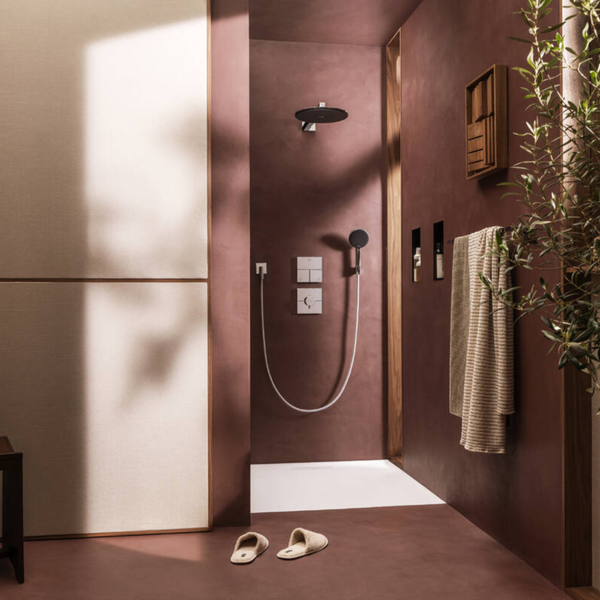 Душевой гарнитур HANSGROHE RAINDANCE ALIVE 24611000 100494 фото