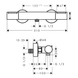 Смеситель для душа HANSGROHE ECOSTAT 13346000 98854 фото 2