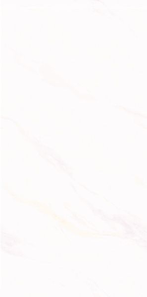Керамогранит 600Х1200 INSPIRO SH6120398TGB, Windlily Honed 98979 фото