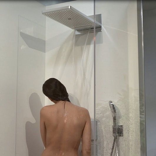 Лейка верхнего душа HANSGROHE RAINDANCE 24001600 59981 фото