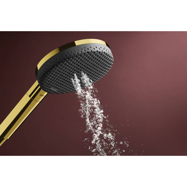 Лейка ручного душа HANSGROHE RAINDANCE ALIVE 24500990, золото 100395 фото
