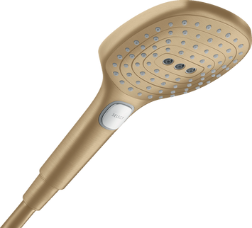 Ручной душ HANSGROHE RAINDANCE E 26520140, бронза 73933 фото