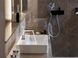 Ручний душ HANSGROHE RAINDANCE SELECT 26530700, білий матовий 82664 фото 4