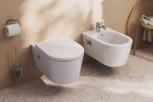 Щётка для унитаза HANSGROHE ADDSTORIS 41782000, хром 104168 фото