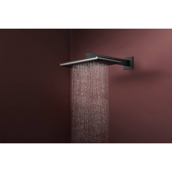 Лейка верхнего душа HANSGROHE RAINDANCE ALIVE 24530340 100432 фото