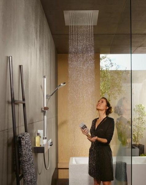 Верхній душ HANSGROHE RAINDANCE 26252000 58133 фото