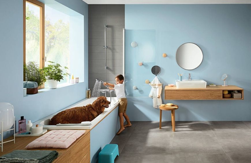 Ручний душ HANSGROHE CROMA SELECT 26810400, хром з білим 46412 фото