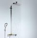 Душевая система HANSGROHE RAINDANCE SELECT 27126000 38927 фото 3