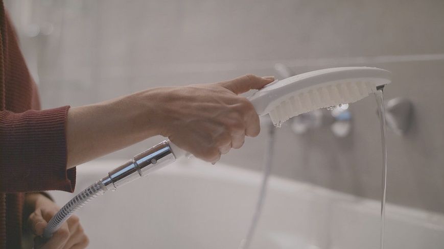 Ручной душ HANSGROHE DOGSHOWER 26640700, белый матовый 86885 фото