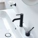 Змішувач для умивальника DURAVIT C.1 C11020001046, чорний матовий 800006124 фото 3