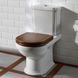Унитаз-компакт VILLEROY & BOCH HOMMAGE 666210R1, белый 42037 фото 2