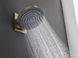 Верхний душ HANSGROHE PULSIFY S 24141140, бронза 94648 фото 5