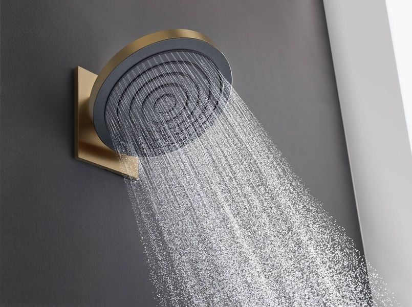 Верхний душ HANSGROHE PULSIFY S 24141140, бронза 94648 фото