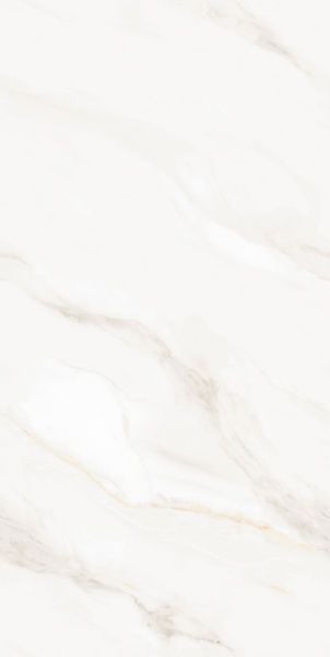 Керамогранит 600Х1200 INSPIRO SH6120398QGB, Windlily Glossy 100283 фото